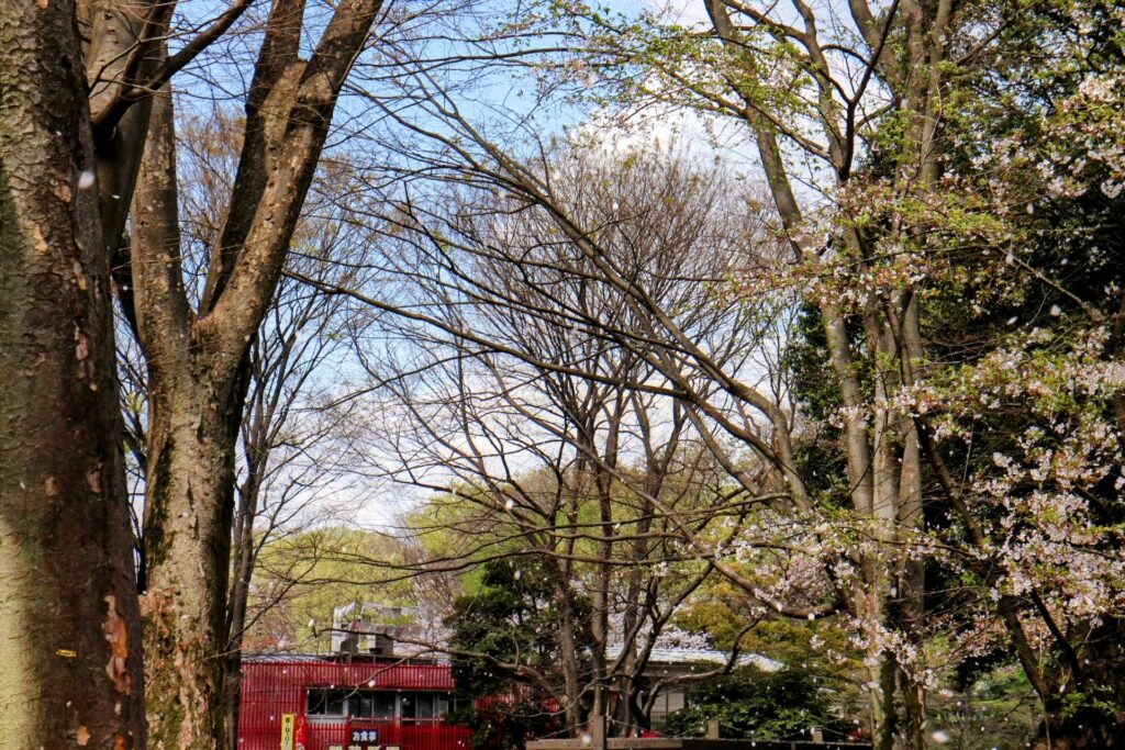 昭和レトロ研究所　武蔵野園　オムライス