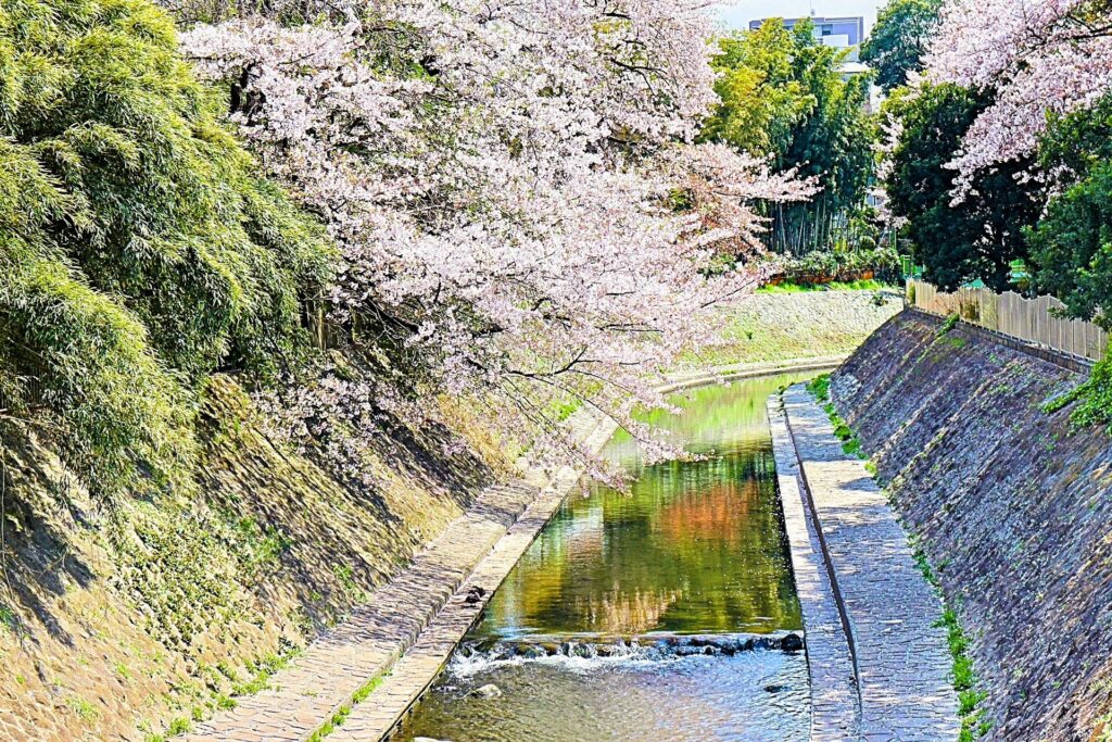 昭和レトロ研究所　武蔵野園　オムライス