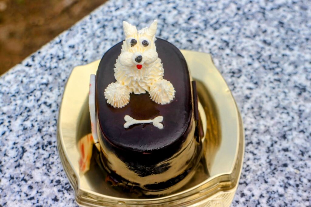 昭和レトロ研究所 「モンサンミッシェル」 犬ケーキ「ショコラ」