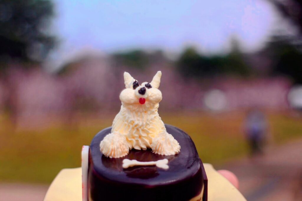 昭和レトロ研究所 「モンサンミッシェル」 犬ケーキ「ショコラ」