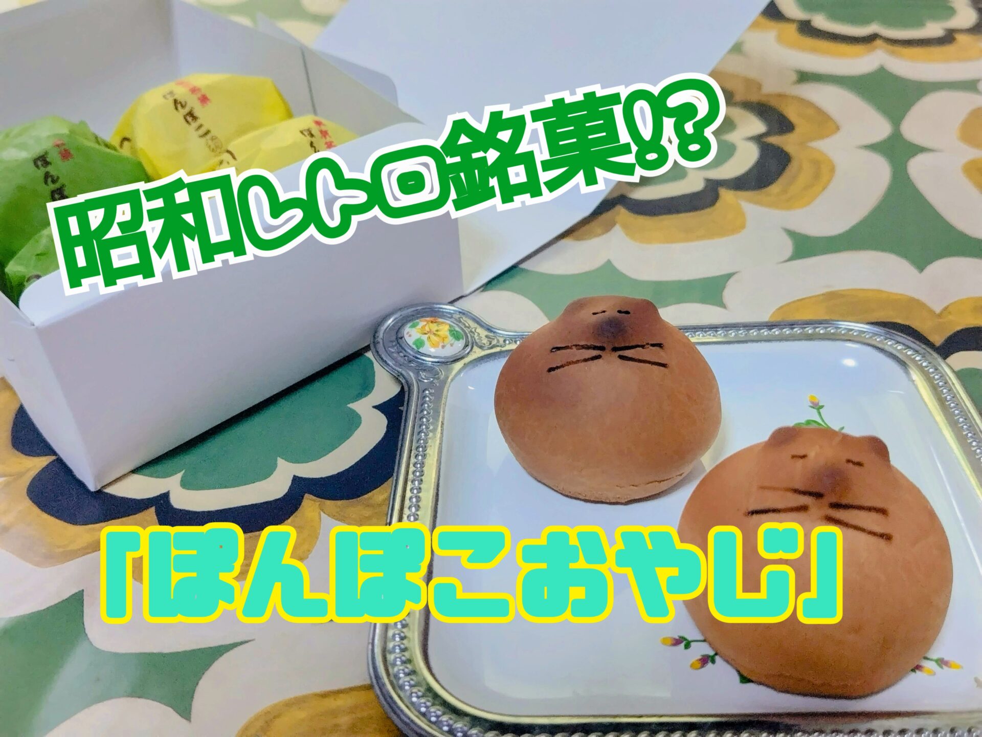【復活した昭和の銘菓】“ぽんぽこタヌキのお饅頭♪”のDNAを受け継ぐ「ぽんぽこおやじ」を食べてみた☆